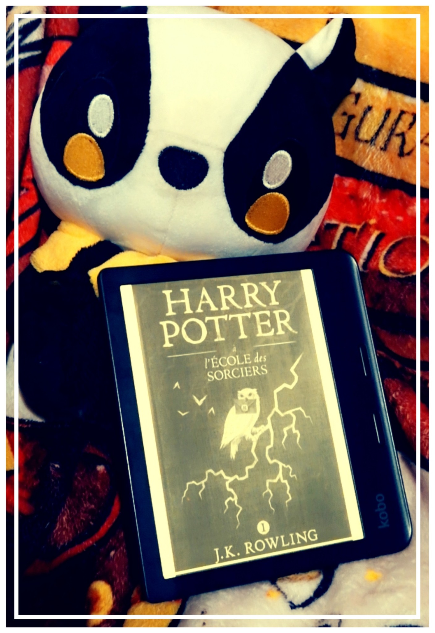 489996067 1182120263494720 7924804574522598037 N